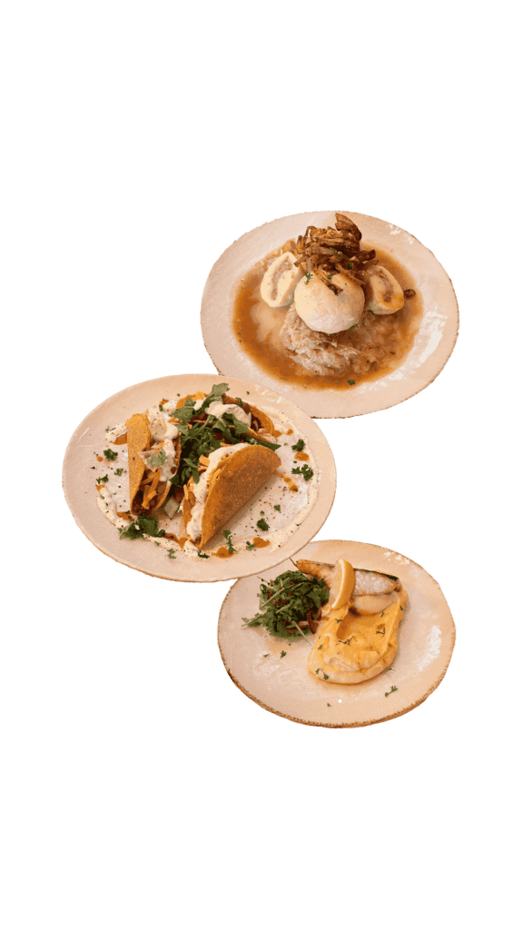TÝDENNÍ MENU